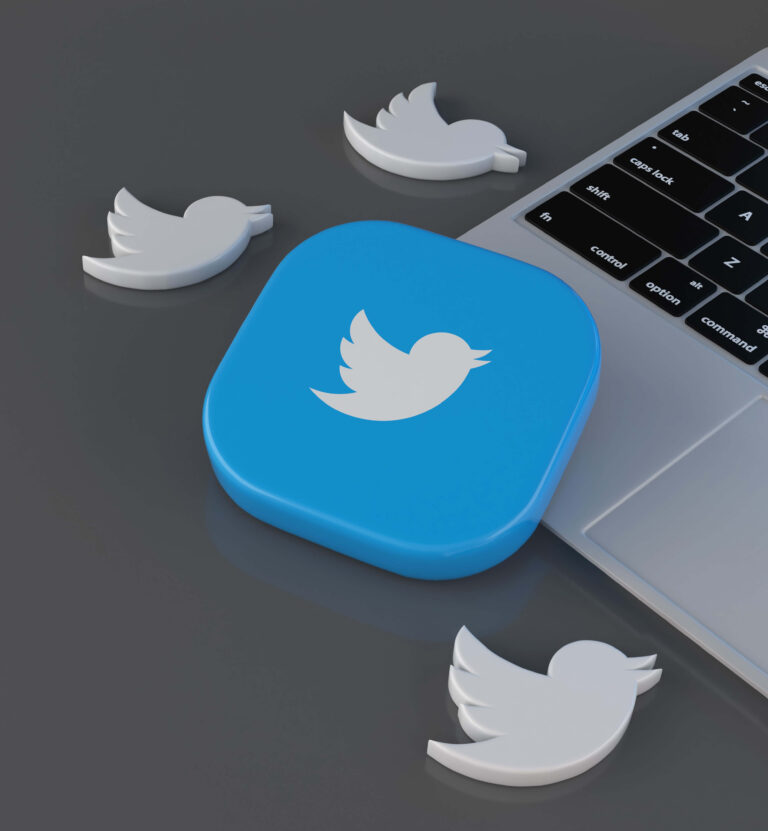 Logo Twittera na szarym tle