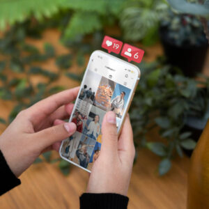 Osoba trzymająca w dłoni telefon z feedem aplikacji Instagram, na tle kwiatów doniczkowych
