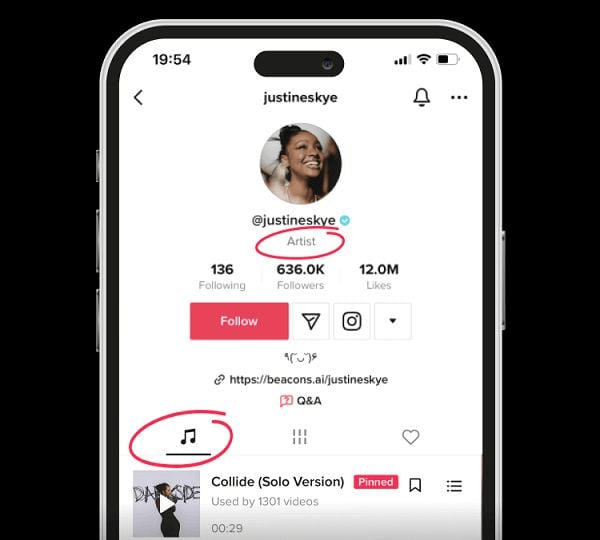 Zrzut ekranu przedstawiający konto artysty